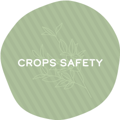 Crops Safety