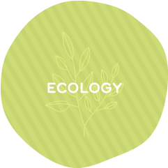 Ecology